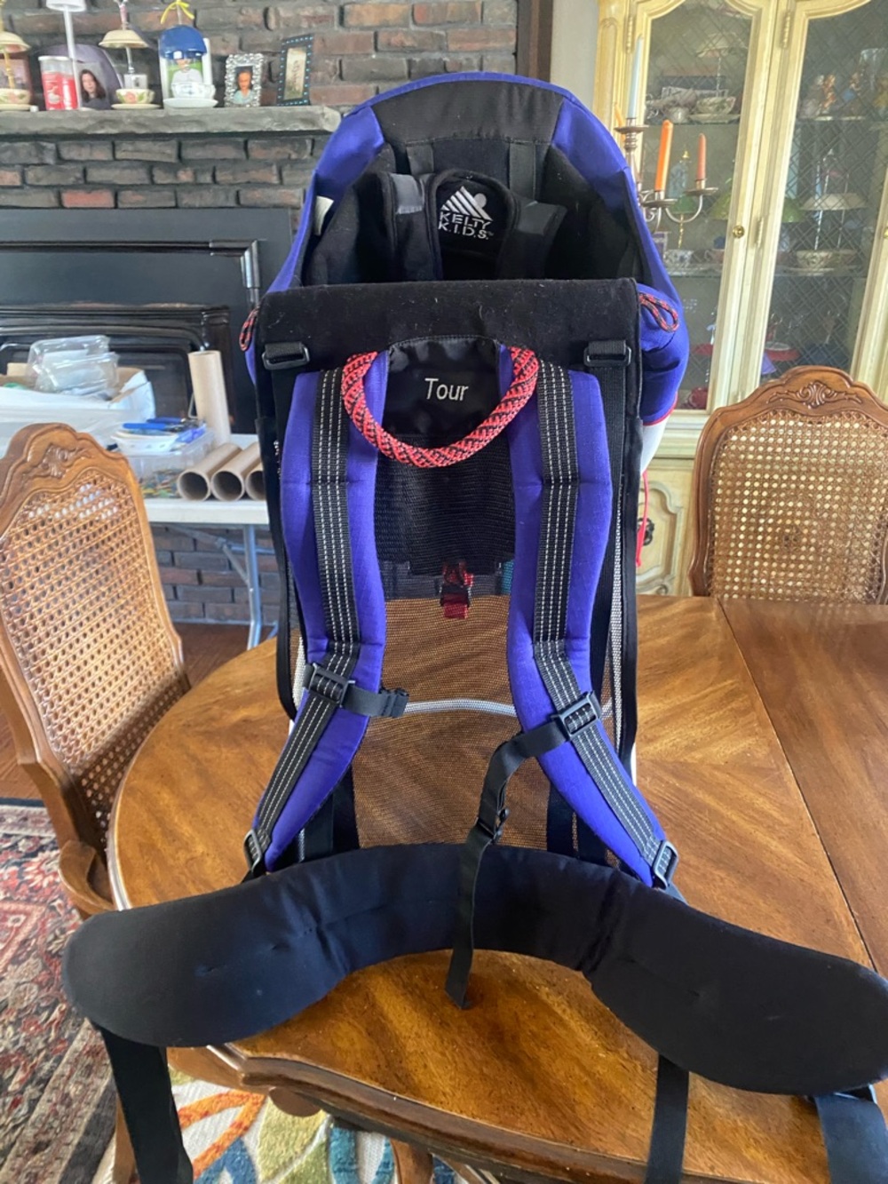 Kelty Kids Tour Child Carrier Hiking Backpack